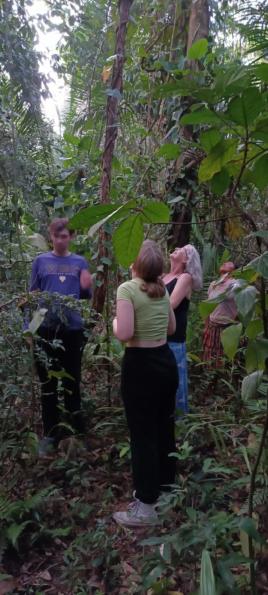 Wanderung auf einem Pfad durch den Regenwald von Belize
